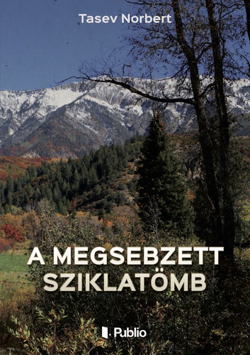 Tasi83: A ​megsebzett sziklatömb című Regény könyv borítója