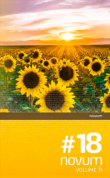 Luttye J. Benedek: novum#18 című Kortárs szépirodalom könyv borítója